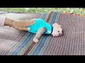 Download Lagu DAM Keep Moody Temper To Mom Drop Him On Mat
