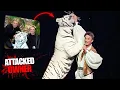 Mauled by His Tiger The Seigfried and Roy Tragedy