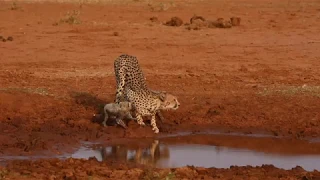 Highlights From A Private Safari To Samburu 