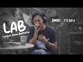 Download Lagu DNDY - LAB [Lanjut Atau Berhenti] cover from Temu