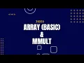 Array Basic MMULT Function