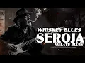 DENGARKAN!! SEROJA Versi Blues│Lagu Nostalgia Melayu
