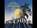 I Know Things Now - Danielle Ferland & Original Broadway Cast of Into the Woods