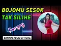 Download Lagu DJ BOJOMU SESOK TAK SILIHE // Pargoy // Thailand Style