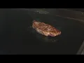 FOX8 s Shannon Smith learns to make the perfect steak