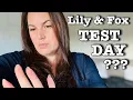 I M GIVING LILY FOX ANOTHER CHANCE BUT THIER GOING TO HAVE TO PASS MY TESTS