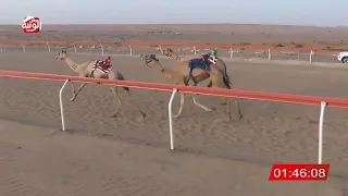 ش 7 متعب لـ علي محمد قناص العامري 4 48 شارة الشيخ طحنون 2025 8 5 لقايا الجبيب 