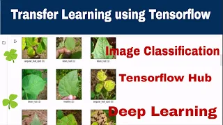 Transfer Learning - Image Classification using Tensorflow