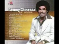 Lobo Domesticado Tommy Olivencia