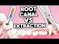Root Canal vs Tooth Extraction What s the Right Choice