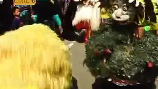 arak arakkan singo barong singotrunan album 1