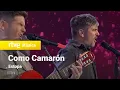 Download Lagu Estopa – “Como Camarón” (Feliz 2024)