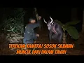 Download Lagu LIVE MISTERI‼️TEROR SOSOK BLIS MERAH