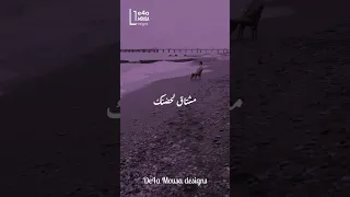 حياتي في بعد عنك مش حياه   حزن  فيديوهات استوري  حالات واتس  حب  مشاهير  فانز دندنها