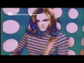 flying / the telescopes / official video