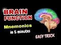 Easy Mnemonics to Memorize Human Brain Parts and Functions Funny trick for Biology