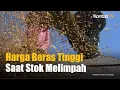 Download Lagu Mentan Amran Pastikan Indonesia Tak Akan Impor Beras Hingga Akhir 2025 | KONTAN News
