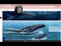10/14 Shared Reading: Ripples in the Sea