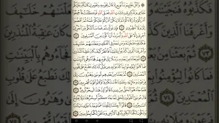 ماهر المعيقلي سورة يونس مكتوبة صفحة 217 مصحف المدينة المنورة جودة عالية 