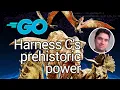 Cgo - Adding C code to your Go project