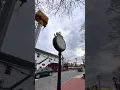 A Tour Of Greenlawn NY