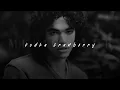 Conan Gray, Vodka Cranberry | slowed + reverb |