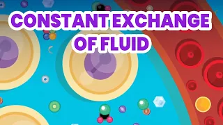 Your Body Is Moving Liters of Fluid Right Now