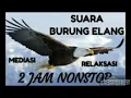 Download Lagu ReNew-SUARA MASTER BURUNG ELANG || eagle and its distinctive voice || #Eagle #Elang #EagleVoice