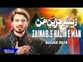 Download Lagu Zainab E Hazin E Man | Ali Jee | 2020 | 1442