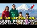 Download Lagu 富士山登山中に失踪した家族、3週間後、野生動物カメラがこの恐ろしいシーンを捉えました…