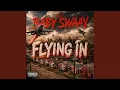 Flying In