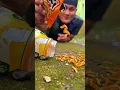 Download Lagu Funny Trick, Luring millipedes into a Bottle with Japanese Noodles #shortsvideo #millipede