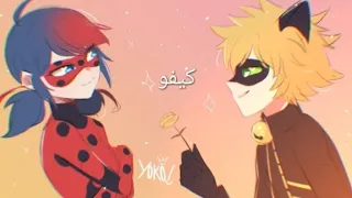 الشامي كيفو بطىء                         دندنها