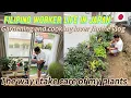 Download Lagu Cozy Days at Home/planting leafy vegetables/flowers fertilizing/Cooking Comfort Squash Soup/silent 