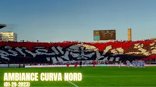                                                               دندنها