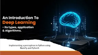 Perceptron Algorithm from Scratch in Python NumPy PyTorch Guide