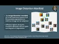 ARNIQA Learning Distortion Manifold for Image Quality Assessment