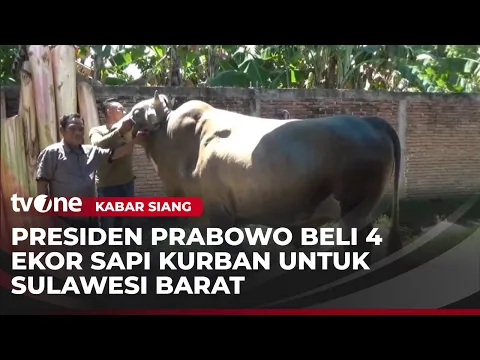 Presiden Prabowo Beli Empat Ekor Sapi Kurban untuk Disebar ke Sejumlah Daerah