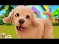 Bingo And His Friends Nursery Rhymes Kids Songs IshKids Version 3