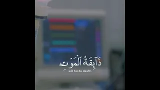 عبدالرحمن مسعد كل نفس ذائقة الموت   اجمل حالات واتس اب دينية سورة العنكبوت    دندنها