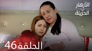 الأزهار الحزينة الحلقة 46 كاملة Kırgın Çiçekler 