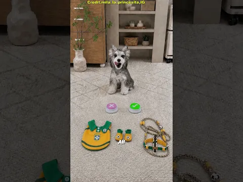 🐶⚽ ¡Este perro es un gran fan de Ronaldo! 😳❤️