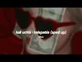 kali uchis - telepatia (sped up) tiktok remix