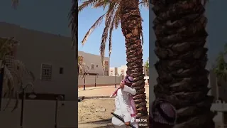 تحزم تحزم خويي  تحزم تحزم خويي