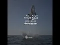 Download Lagu Ayatul Kursi (The Throne Verse) آیت الکرسی | Reciter Hamza boudib القارئ حمزة بوديب | AL-BAQARAH 255