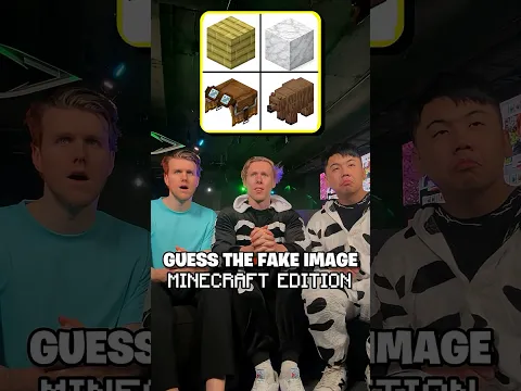 PWR Guess The FAKE Minecraft Item!