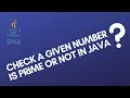 Program to check whether the given number is prime or not in Java Tutorial
