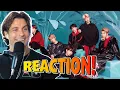 Download Lagu BTS Let Go REACTION by professional singer