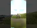 I Tamed A Unicorn In Ark