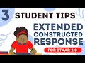3 Tips to Help Students Pass STAAR ECR